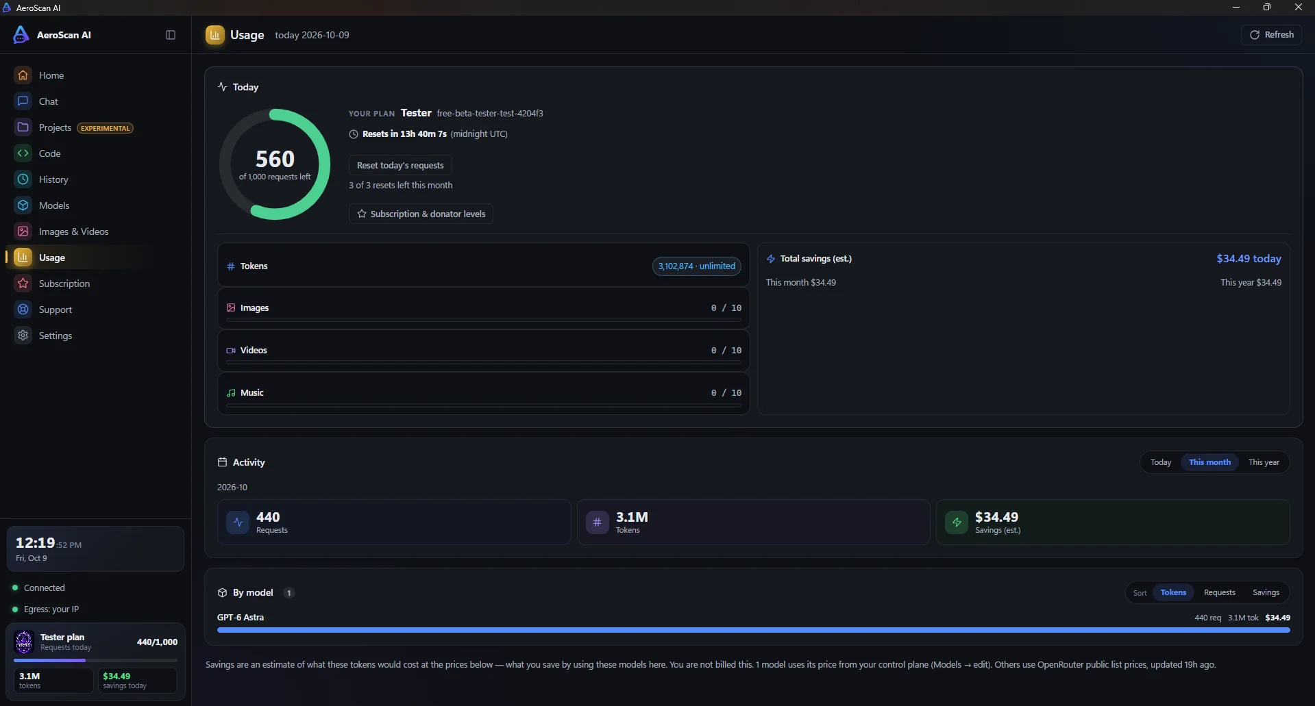 The Usage page with requests left today and usage by model